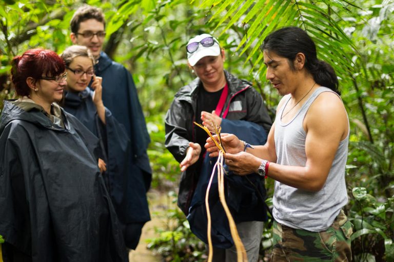Voluntariado en  Chile : Sea un ambientalista para proteger el bosque virgen – South America Inside