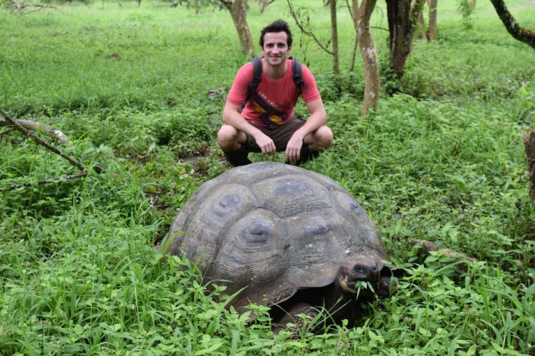 Voluntariado en  Ecuador: Voluntario del Centro de Crianza de Tortugas Gigantes – IOI – Empowering Galapagos